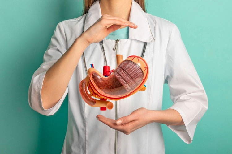 Medicul prezintă modelul stomacului înainte de intervenția de tip gastric sleeve